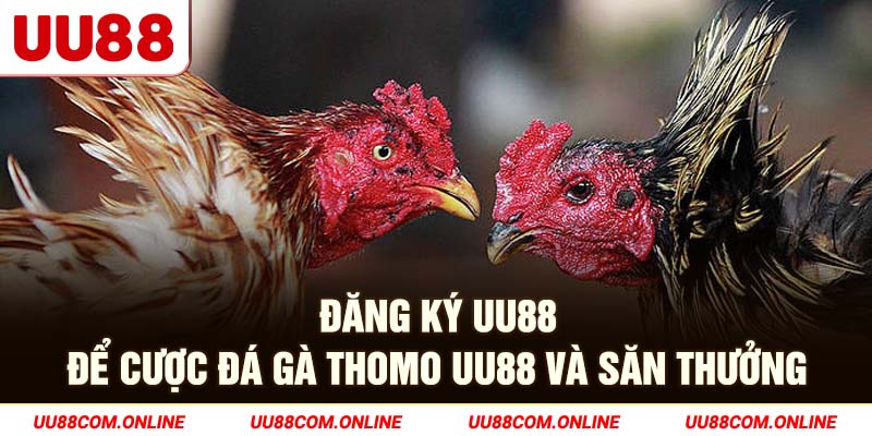 10-dang-ky-uu88-de-cuoc-da-ga-thomo-uu88-va-san-thuong