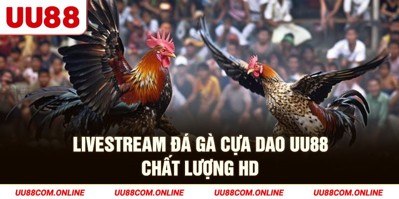11-livestream-da-ga-cua-dao-uu88-chat-luong-hd