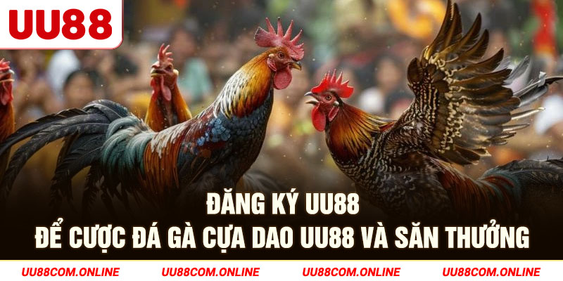 14-dang-ky-uu88-de-cuoc-da-ga-cua-dao-uu88-va-san-thuong