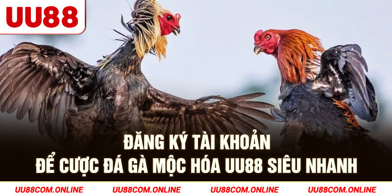 16-dang-ky-tai-khoan-de-cuoc-da-ga-moc-hoa-uu88-sieu-nhanh