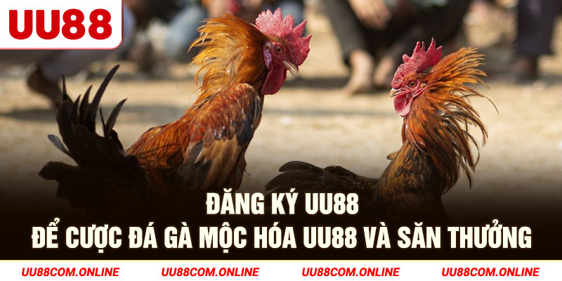 18-dang-ky-uu88-de-cuoc-da-ga-moc-hoa-uu88-va-san-thuong