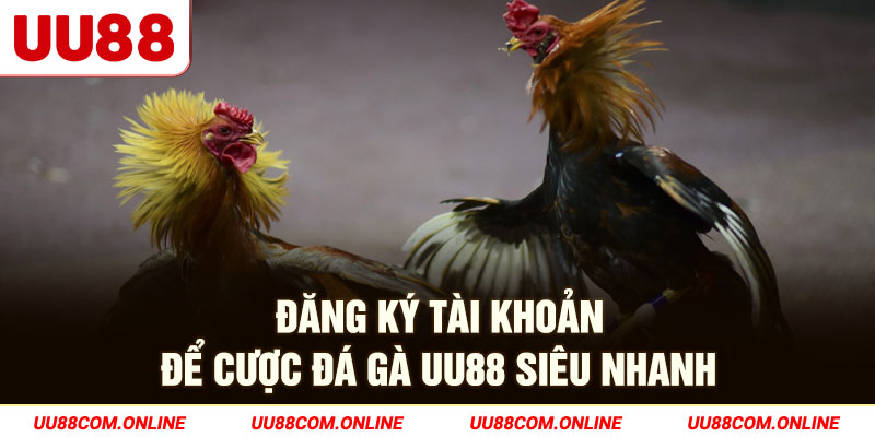 2-dang-ky-tai-khoan-de-cuoc-da-ga-uu88-sieu-nhanh