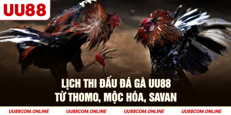 4-lich-thi-dau-da-ga-uu88-tu-thomo,-moc-hoa,-savan